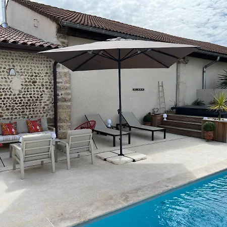 Le Vieux Platane *